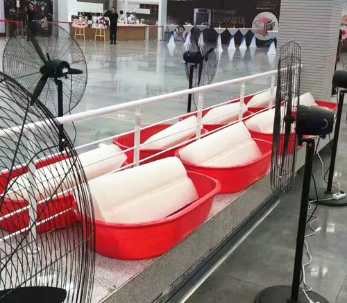 陕西LUTUBE轻量版IOS下载冰块